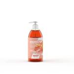 AEXALT - AEXAMOUSSE LOTION LAVANTE - 500 ML AVEC POMPE