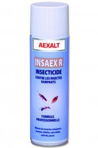 AEXALT - INSAEX RAMPANTS - 650 ML