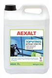 AEXALT - TOP'VITRE HDG - 5 L